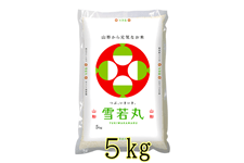  5kg@ߘa6NY