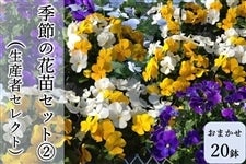 yG̔IzsY@G߂̉ԕcZbgA@rIJ[~bNXiY҃ZNgj