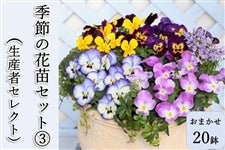 yG̔IzsY@G߂̉ԕcZbgB@pW[u悭炭X~vV[Y~bNXiY҃ZNgj