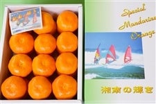 nEX݂wÓ̋Pxi20`30j 