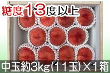 JAO[ PX ʖ3kg(11)×1yz722-815