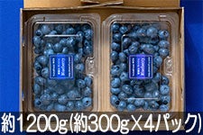 F&F䂴 Ђł̃tbVu[x[ 1200g(300g×4pbN) 78ȍ~