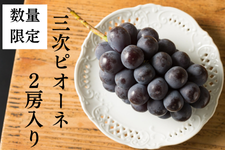 u^vOsI[linEXQ[j@@ɂI
