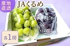 yʌʉizJA߁@sI[lEVC}XJbg@e1[iϔj@8{`oח\