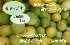 yƒpz ڂ 4kgi啪Yj