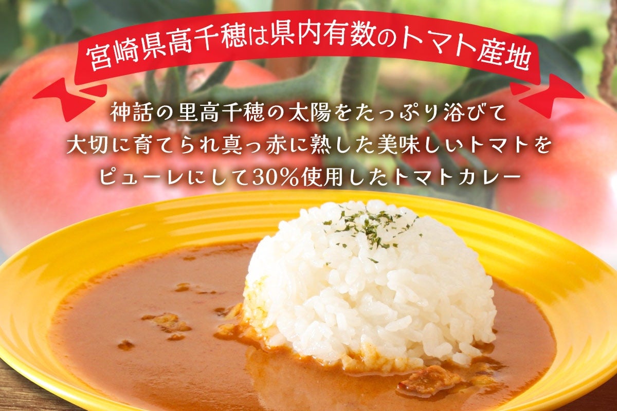 高千穂生まれのトマトカレー 30箱入