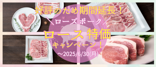 [Y|[N[XLy[ 2025N630܂